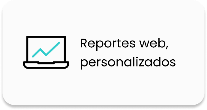 Reportes web